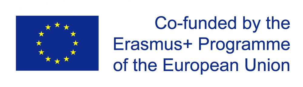 EU Flag - Co-funded by the European Union